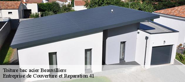 Toiture bac acier  beauvilliers-41290 Entreprise de Couverture et Reparation 41