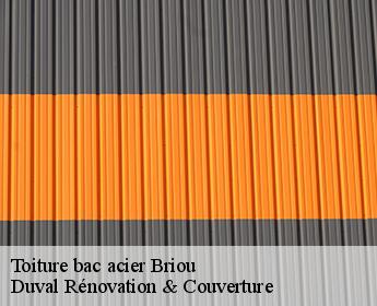 Toiture bac acier  41370