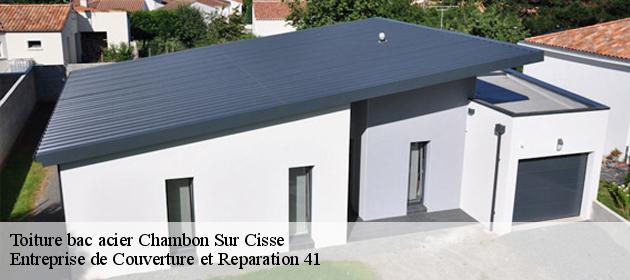 Toiture bac acier  chambon-sur-cisse-41190 Entreprise de Couverture et Reparation 41