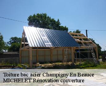 Toiture bac acier  champigny-en-beauce-41330 Entreprise de Couverture et Reparation 41