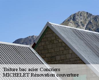 Toiture bac acier 41370