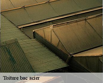 Toiture bac acier 41230