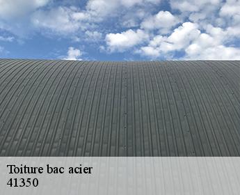 Toiture bac acier 41350