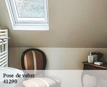 Pose de velux  41290