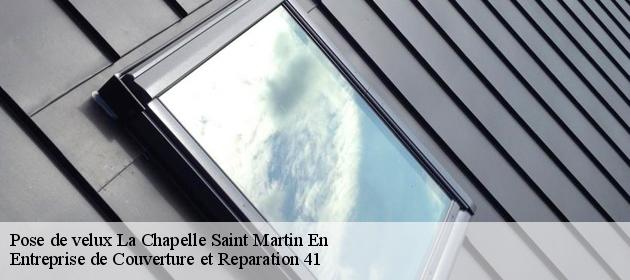 Pose de velux  la-chapelle-saint-martin-en-41500 Entreprise de Couverture et Reparation 41