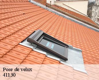 Pose de velux