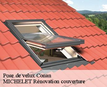 Pose de velux 41290
