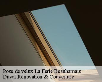 Pose de velux