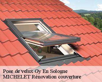 Pose de velux 41230