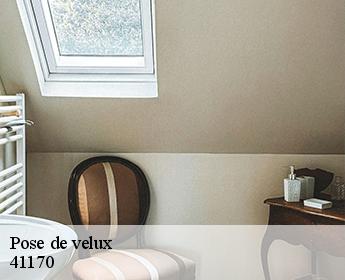 Pose de velux  41170