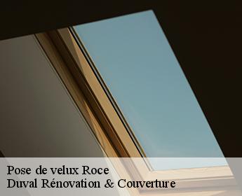Pose de velux