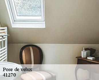 Pose de velux 41270