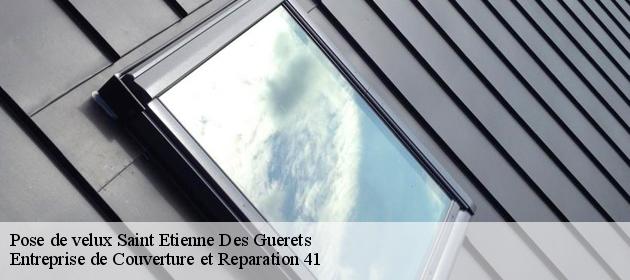 Pose de velux  saint-etienne-des-guerets-41190 Entreprise de Couverture et Reparation 41