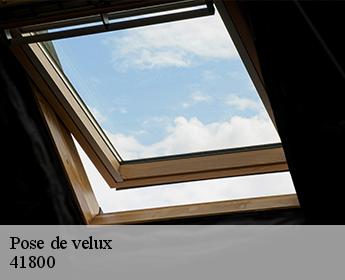 Pose de velux 41800