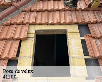 Pose de velux 41200