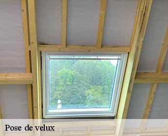 Pose de velux 41200