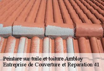 Peinture sur tuile et toiture  ambloy-41310 Entreprise de Couverture et Reparation 41