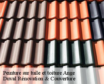 Peinture sur tuile et toiture ange-41400 Duval Rénovation & Couverture