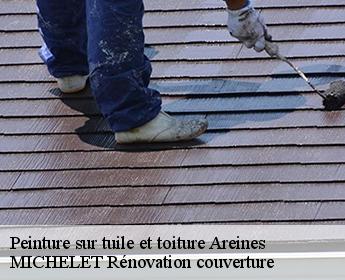 Peinture sur tuile et toiture 41100