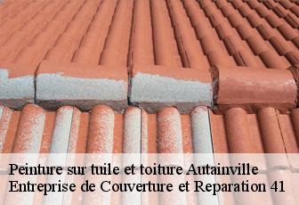 Peinture sur tuile et toiture  autainville-41240 Entreprise de Couverture et Reparation 41