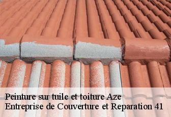 Peinture sur tuile et toiture  aze-41100 Entreprise de Couverture et Reparation 41