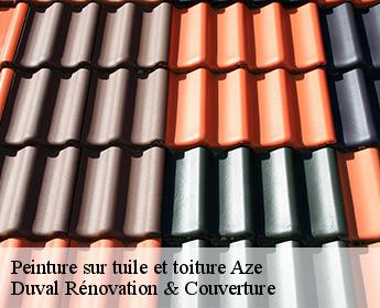 Peinture sur tuile et toiture aze-41100 Duval Rénovation & Couverture