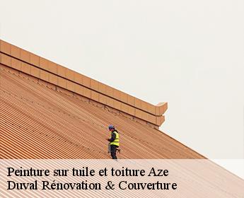 Peinture sur tuile et toiture