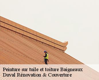 Peinture sur tuile et toiture