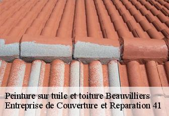 Peinture sur tuile et toiture  beauvilliers-41290 Entreprise de Couverture et Reparation 41