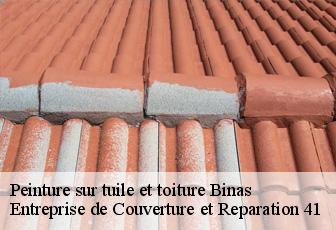 Peinture sur tuile et toiture  binas-41240 Entreprise de Couverture et Reparation 41