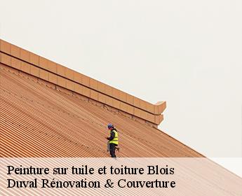 Peinture sur tuile et toiture