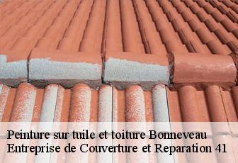 Peinture sur tuile et toiture  bonneveau-41800 Entreprise de Couverture et Reparation 41