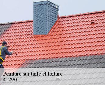 Peinture sur tuile et toiture  41290