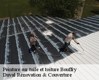 Peinture sur tuile et toiture 41270