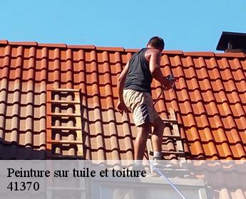 Peinture sur tuile et toiture 41370