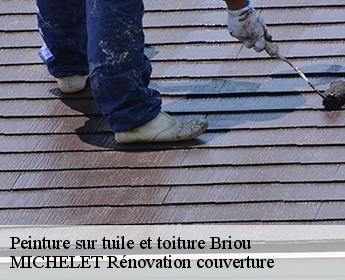 Peinture sur tuile et toiture 41370