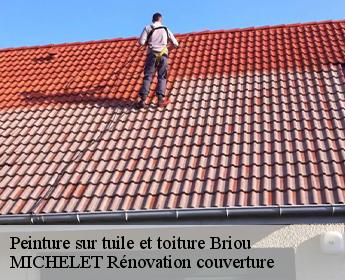 Peinture sur tuile et toiture briou-41370 Entreprise de Couverture et Reparation 41