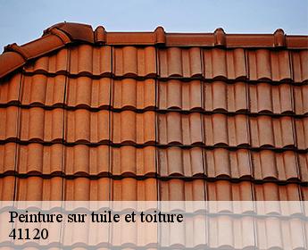 Peinture sur tuile et toiture