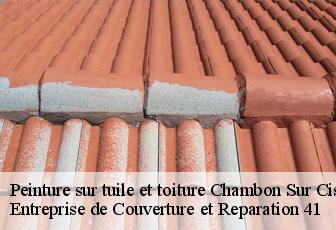 Peinture sur tuile et toiture  chambon-sur-cisse-41190 Entreprise de Couverture et Reparation 41