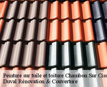 Peinture sur tuile et toiture chambon-sur-cisse-41190 Duval Rénovation & Couverture