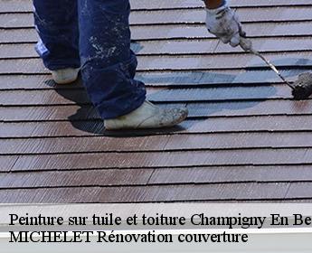 Peinture sur tuile et toiture 41330