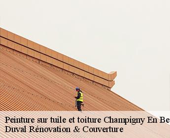 Peinture sur tuile et toiture