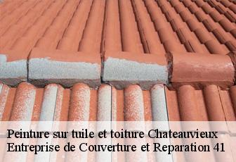 Peinture sur tuile et toiture  chateauvieux-41110 Entreprise de Couverture et Reparation 41