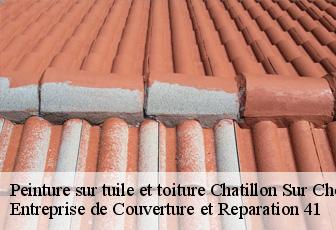 Peinture sur tuile et toiture  chatillon-sur-cher-41130 Entreprise de Couverture et Reparation 41