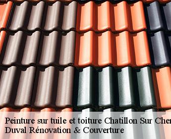 Peinture sur tuile et toiture chatillon-sur-cher-41130 Duval Rénovation & Couverture
