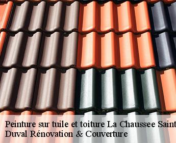 Peinture sur tuile et toiture la-chaussee-saint-victor-41260 Duval Rénovation & Couverture