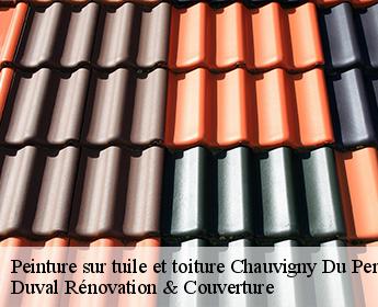 Peinture sur tuile et toiture  chauvigny-du-perche-41270 Duval Rénovation & Couverture