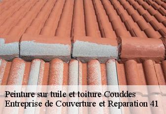 Peinture sur tuile et toiture  couddes-41700 Entreprise de Couverture et Reparation 41