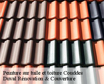 Peinture sur tuile et toiture couddes-41700 Duval Rénovation & Couverture