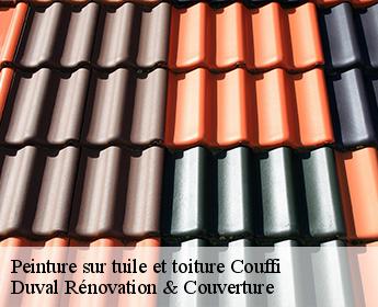 Peinture sur tuile et toiture couffi-41110 Duval Rénovation & Couverture